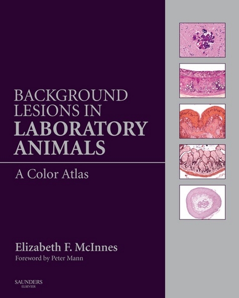 Background Lesions in Laboratory Animals E-Book -  Elizabeth Fiona McInnes