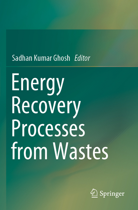 Energy Recovery Processes from Wastes - 
