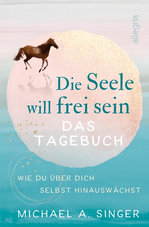 Die Seele will frei sein – Das Tagebuch - Michael A. Singer