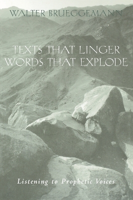 Texts That Linger, Words That Explode - Walter Brueggemann, Patrick D. Miller