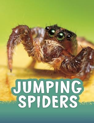 Jumping Spiders - Jaclyn Jaycox