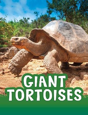 Giant Tortoises - Jaclyn Jaycox