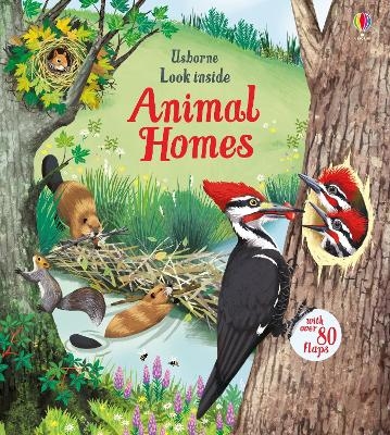 Look Inside Animal Homes - Emily Bone