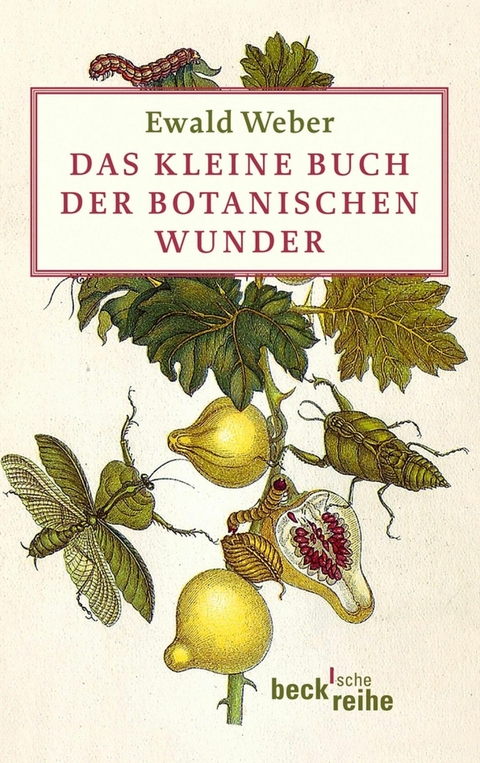 Das kleine Buch der botanischen Wunder - Ewald Weber