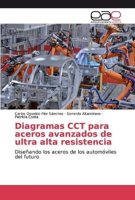 Diagramas CCT para aceros avanzados de ultra alta resistencia - Carlos Osvaldo Flor Sánchez, Gerardo Altamirano, Patricia Costa