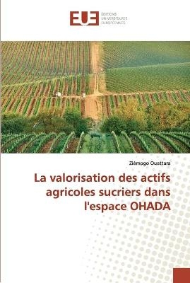 La valorisation des actifs agricoles sucriers dans l'espace OHADA - Ziémogo Ouattara