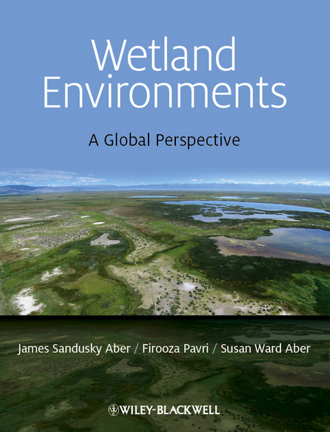 Wetland Environments - James S. Aber, Firooza Pavri, Susan Aber