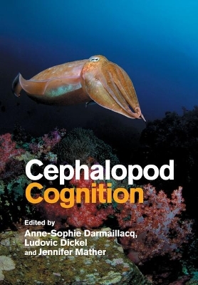 Cephalopod Cognition - 