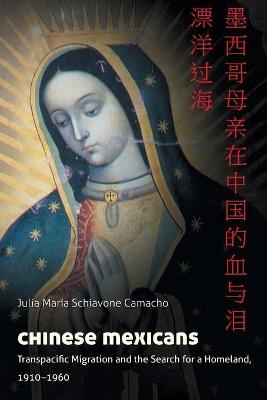 Chinese Mexicans - Julia María Schiavone Camacho