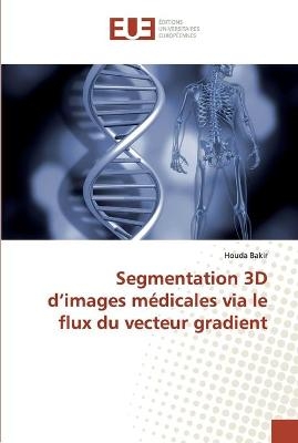 Segmentation 3D d'images médicales via le flux du vecteur gradient - Houda Bakir
