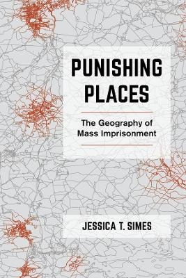 Punishing Places - Jessica T. Simes