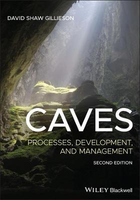 Caves - David Shaw Gillieson