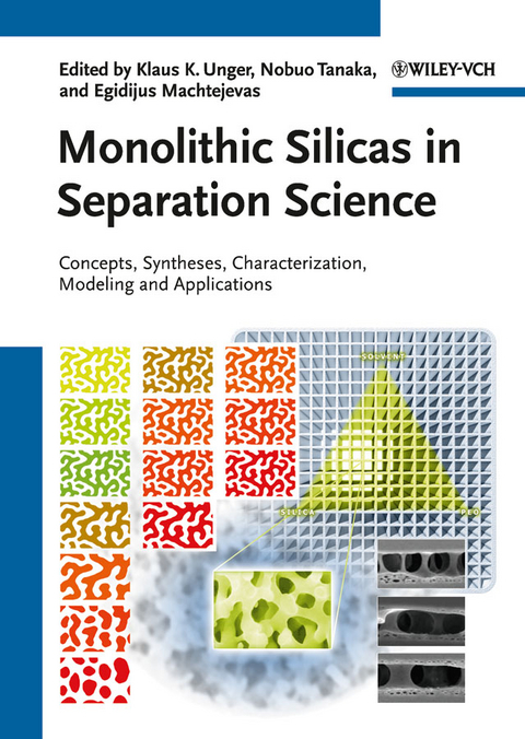 Monolithic Silicas in Separation Science - 