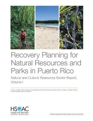 Recovery Planning for Natural Resources and Parks in Puerto Rico - Susan A Resetar, Abbie Tingstad, Joshua Mendelsohn