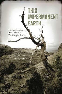 This Impermanent Earth - 