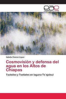 Cosmovisión y defensa del agua en los Altos de Chiapas - Natalia Chaves López