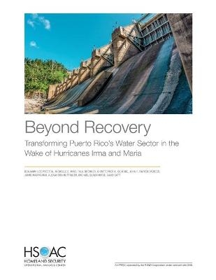Beyond Recovery - Benjamin Lee Preston, Michelle E Miro, Paul Brenner