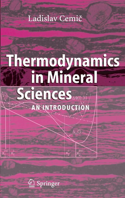 Thermodynamics in Mineral Sciences -  Ladislav Cemic