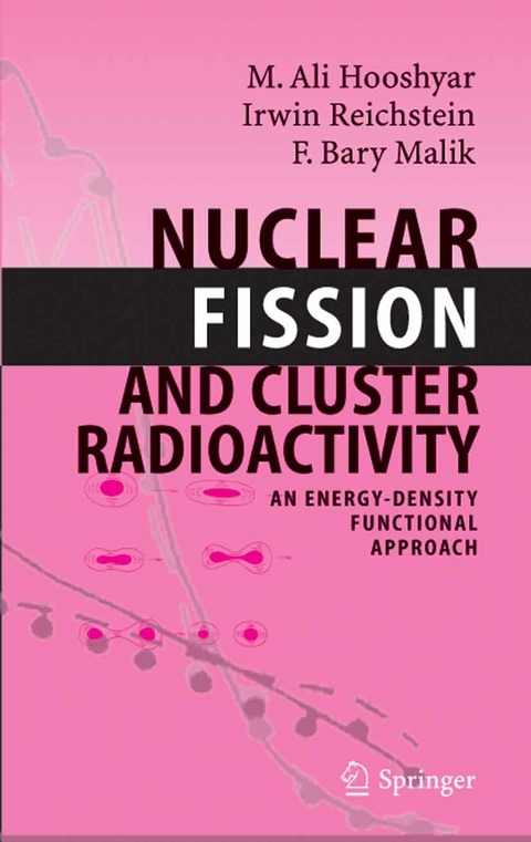 Nuclear Fission and Cluster Radioactivity -  M.A. Hooshyar,  Irwin Reichstein,  F. Bary Malik