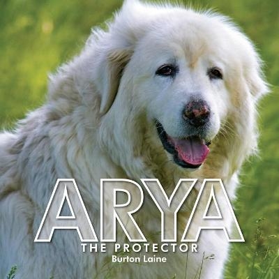 Arya - Burton Laine