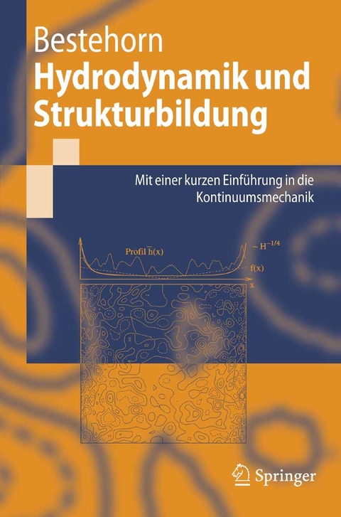 Hydrodynamik und Strukturbildung -  Michael Bestehorn