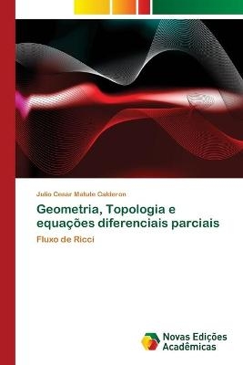 Geometria, Topologia e equações diferenciais parciais - Julio Cesar Matute Calderon