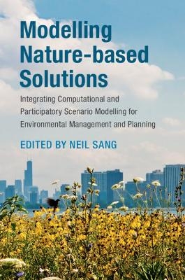 Modelling Nature-based Solutions - 