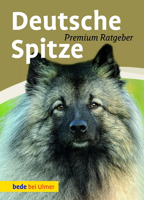 Deutsche Spitze - Annette Schmitt, Lee Hooper