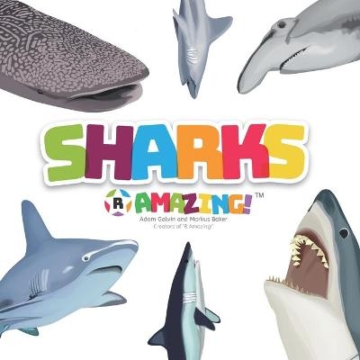 Sharks R Amazing! - Adam Galvin, Mark Baker, Markus Baker