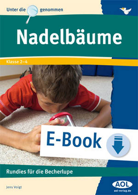 Nadelbäume - Jens Voigt