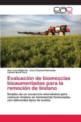 Evaluación de biomezclas bioaumentadas para la remoción de lindano - Ana Lucía Bigliardo, Enzo Emanuel Raimondo, Juliana Maria Saez