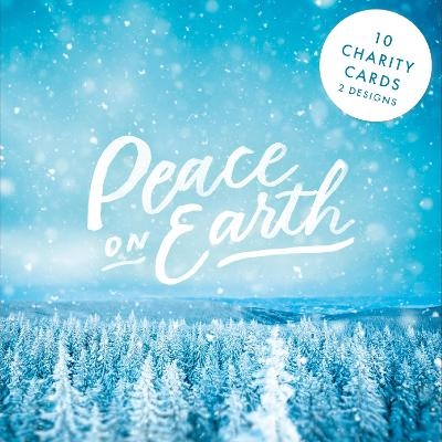 SPCK Charity Christmas Cards, Pack of 10, 2 Designs -  SPCK