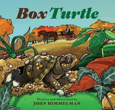 Box Turtle - John Himmelman