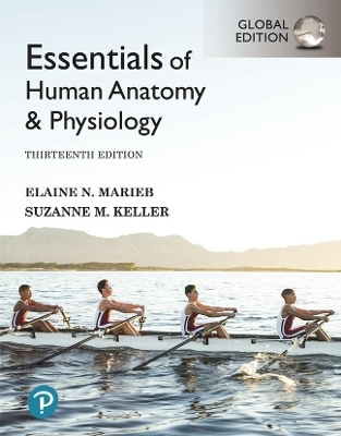 Essentials of Human Anatomy & Physiology, Global Edition - Elaine Marieb, Suzanne Keller