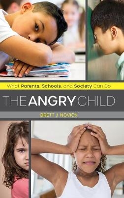 The Angry Child - Brett Novick
