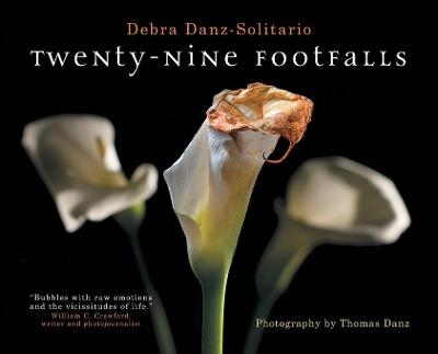 Twenty-Nine Footfalls - Debra Danz-Solitario
