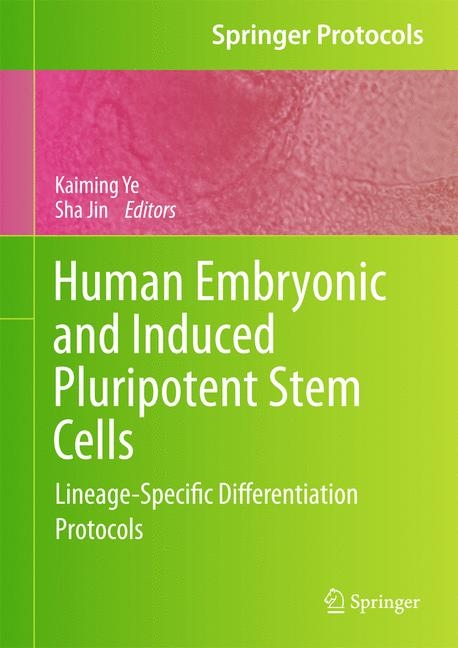 Human Embryonic and Induced Pluripotent Stem Cells - 