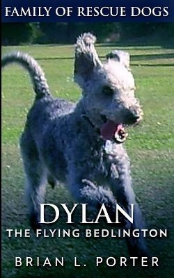 Dylan - Brian L Porter