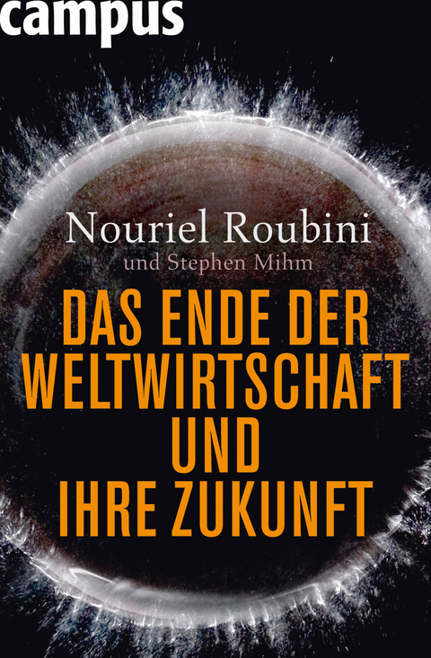 Das Ende der Weltwirtschaft und ihre Zukunft - Nouriel Roubini, Stephen Mihm