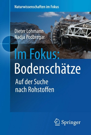Im Fokus: Bodenschätze - Dieter Lohmann; Nadja Podbregar