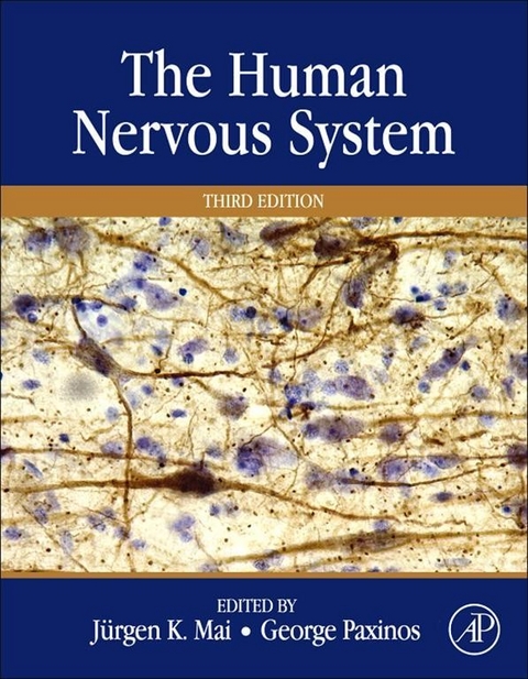 Human Nervous System - 