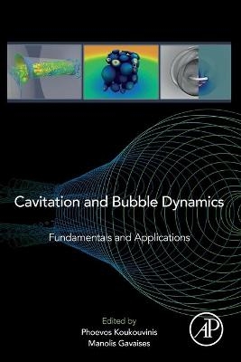 Cavitation and Bubble Dynamics - 