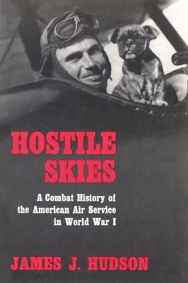 Hostile Skies - James J. Hudson