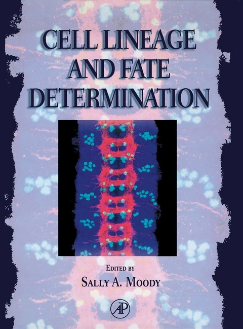 Cell Lineage and Fate Determination - 