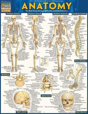 Anatomy - Reference Guide - Vincent Perez