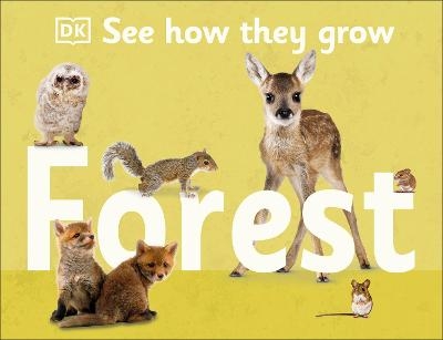 See How They Grow Forest -  Dk