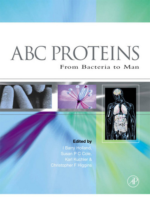 ABC Proteins - 