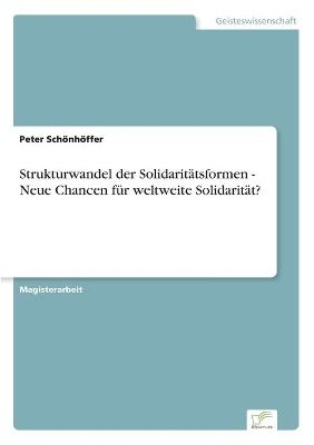 Strukturwandel der SolidaritÃ¤tsformen - Neue Chancen fÃ¼r weltweite SolidaritÃ¤t? - Peter SchÃ¶nhÃ¶ffer