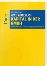 Praxishandbuch Kapital in der GmbH - Merve Cetin, Julia Wallner, Tugce Yalcin