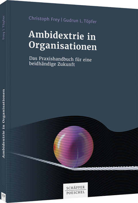 Ambidextrie in Organisationen - Christoph Frey, Gudrun L. Töpfer